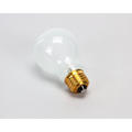 Wells Frstd Lightbulb/100W-230V 2S-305100